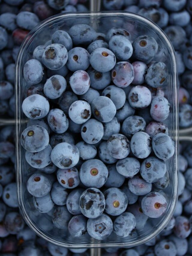 A Snapshot of Blueberries’ Health Benefits