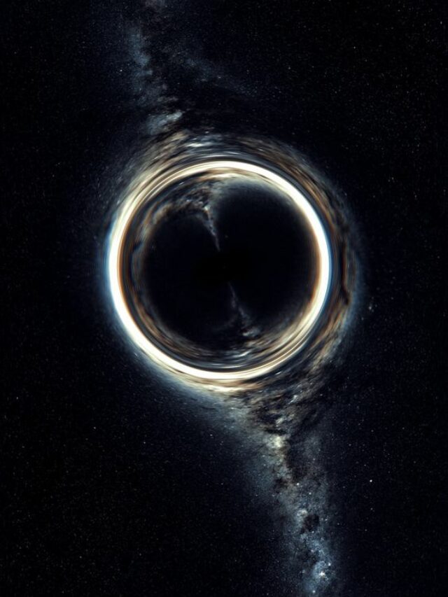 When Black Holes Die, They Are Reborn As White Holes