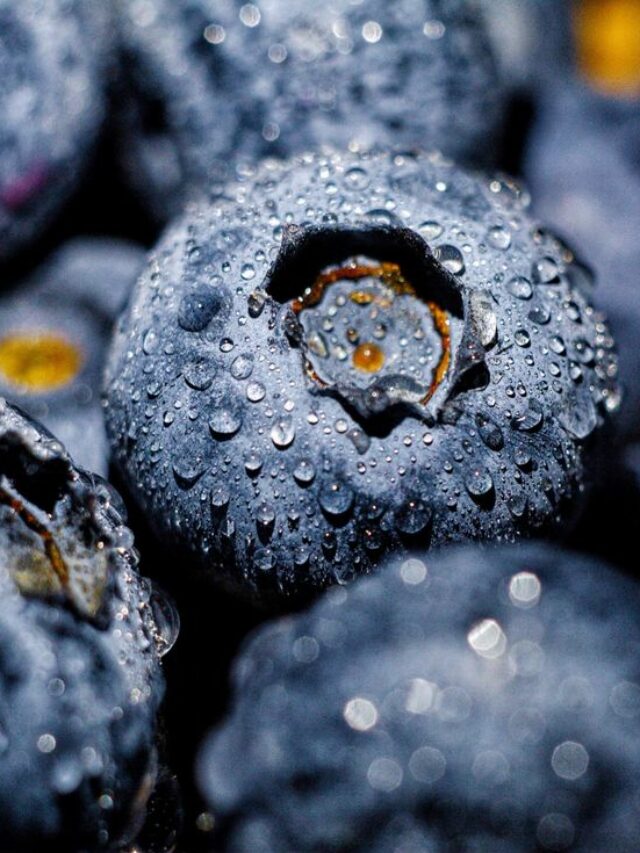 Can blueberries help with other cardiovascular conditions besides heart disease