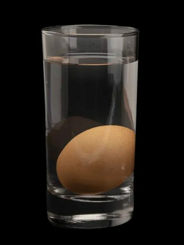 You Can Tell If An Egg Is Expired By Dropping It In A Glass Of Water