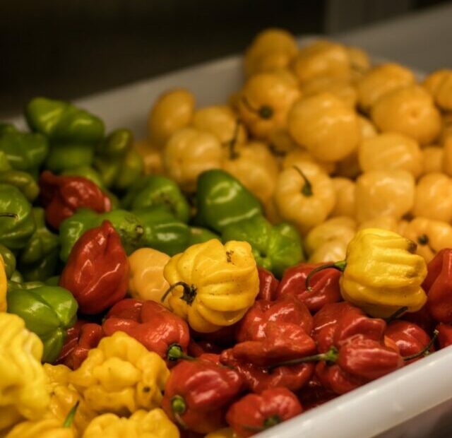 yellow and red bell peppers