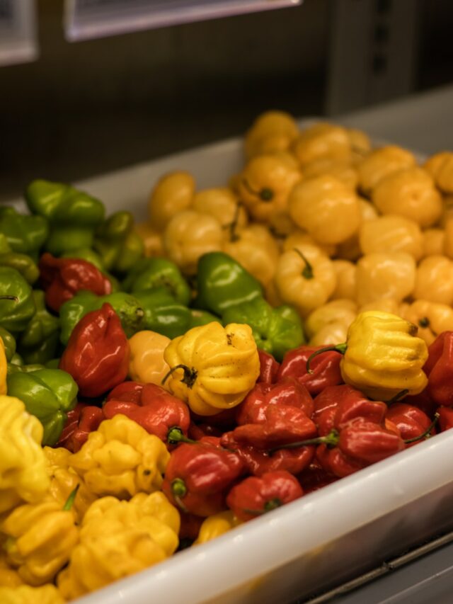 Here’s How To Store Bell Peppers So They Last Longer