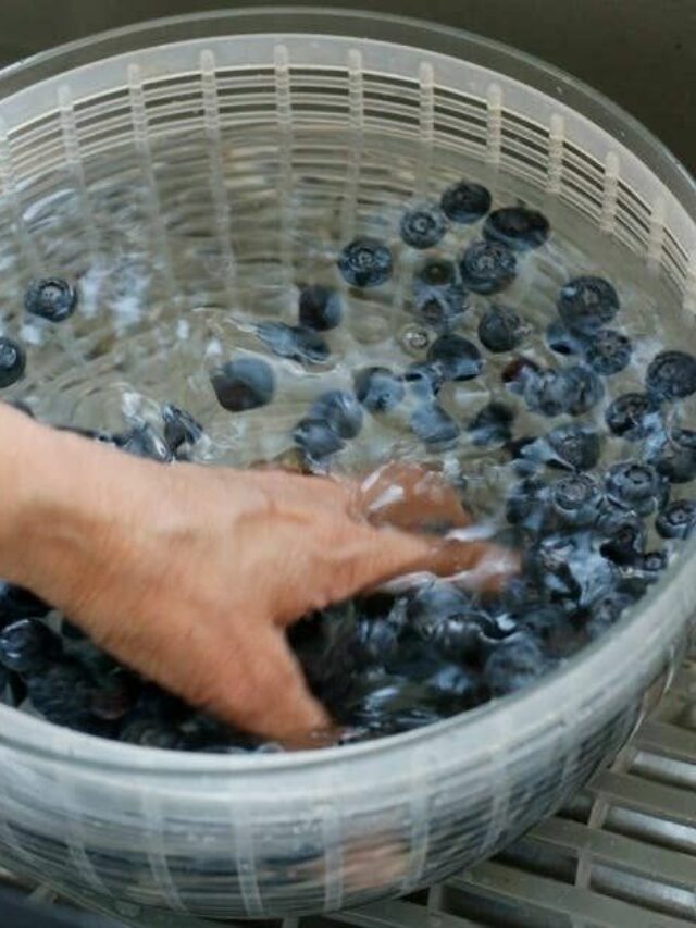 I Finally Found the Best Way to Wash and Store Blueberries So They Stay Perfect for Weeks