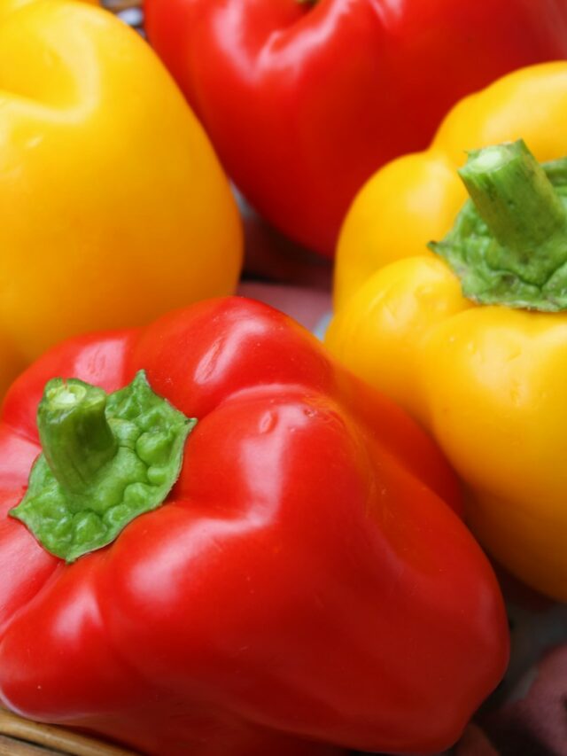 Can You Eat Bell Pepper Seeds?