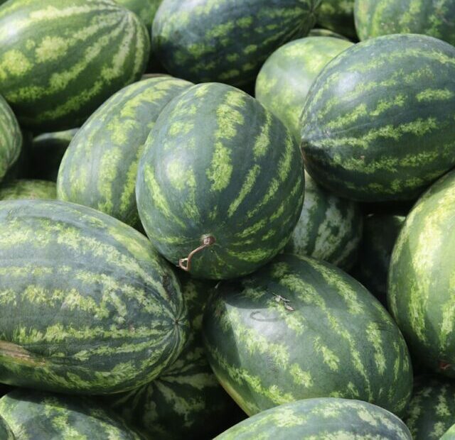 green and yellow watermelon fruit