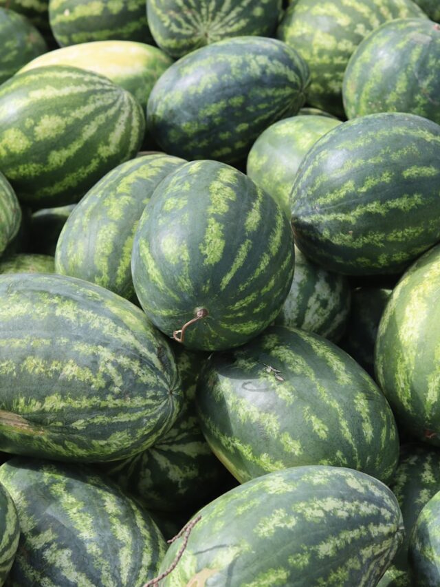 What are the best ways to store a cut watermelon to keep it fresh longer