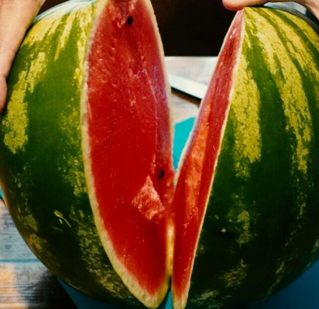 person holding watermelon on brown wooden table