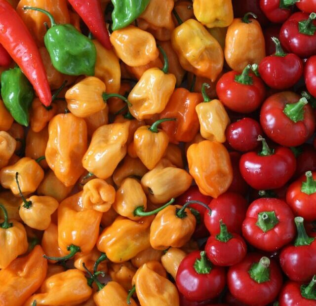 9 Common Mistakes Everyone Makes When Growing Peppers