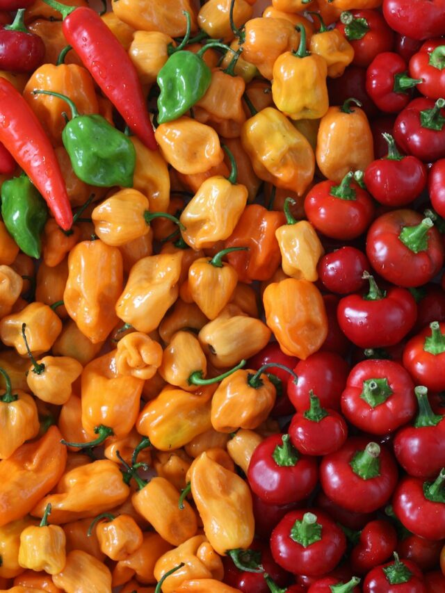 9 Common Mistakes Everyone Makes When Growing Peppers